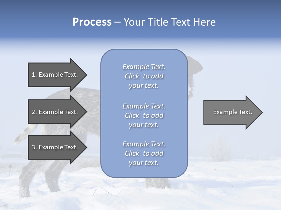 A Gray And Black Dog Standing In The Snow PowerPoint Template