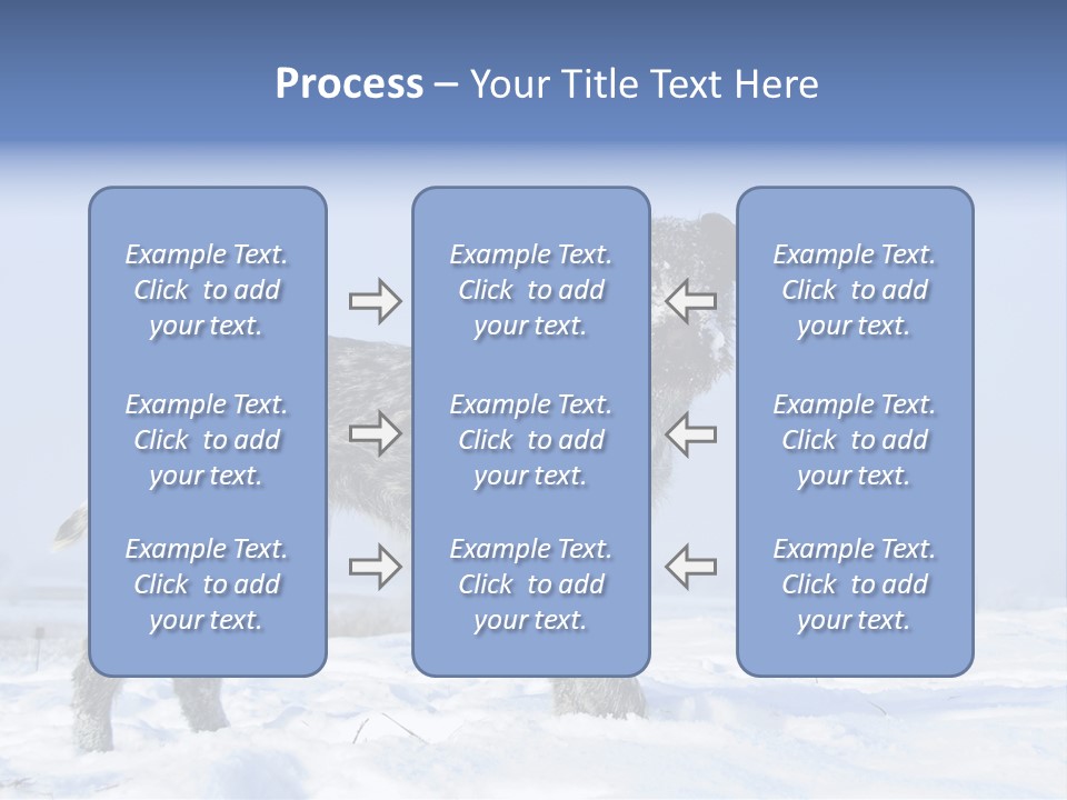 A Gray And Black Dog Standing In The Snow PowerPoint Template