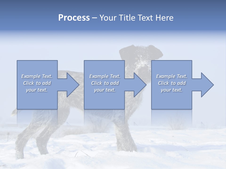 A Gray And Black Dog Standing In The Snow PowerPoint Template