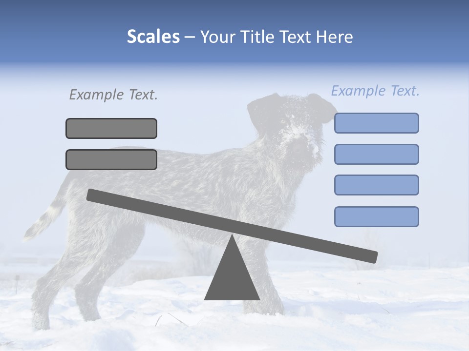 A Gray And Black Dog Standing In The Snow PowerPoint Template