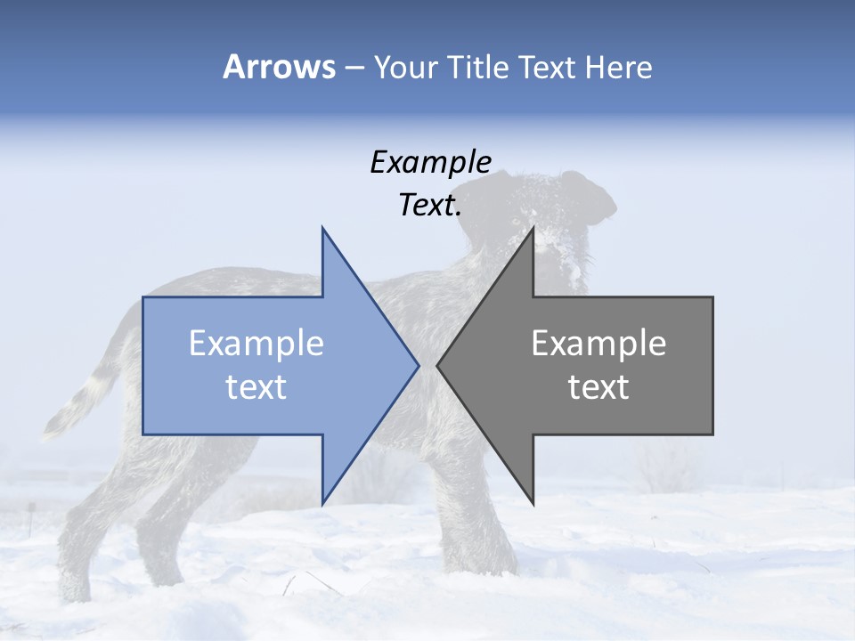 A Gray And Black Dog Standing In The Snow PowerPoint Template