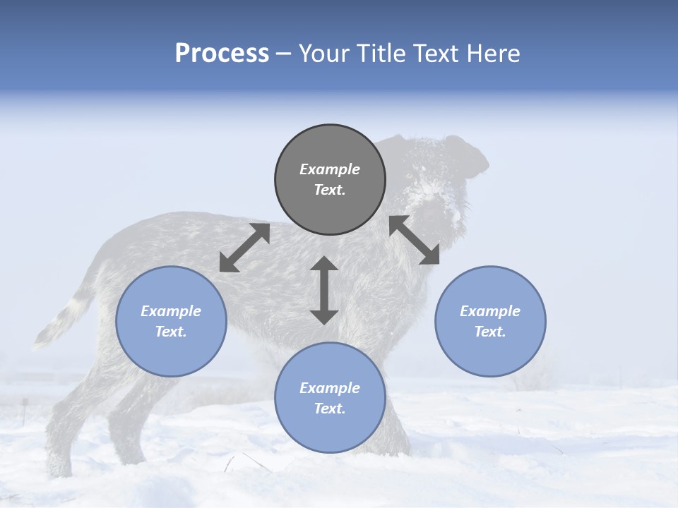 A Gray And Black Dog Standing In The Snow PowerPoint Template