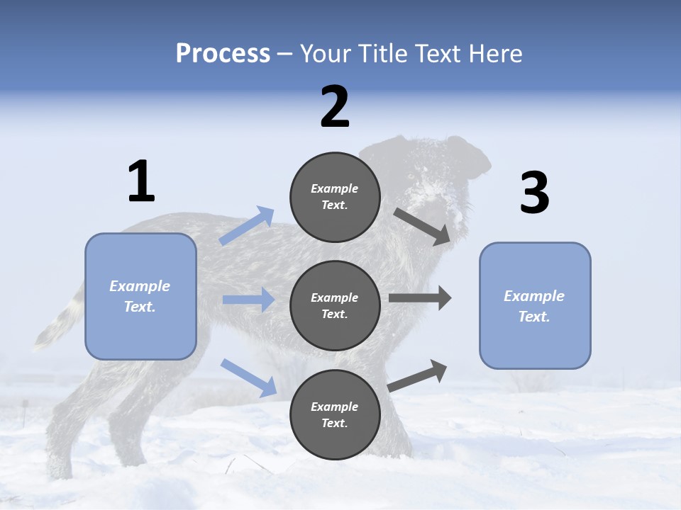 A Gray And Black Dog Standing In The Snow PowerPoint Template