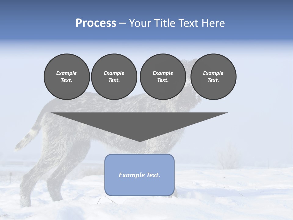 A Gray And Black Dog Standing In The Snow PowerPoint Template