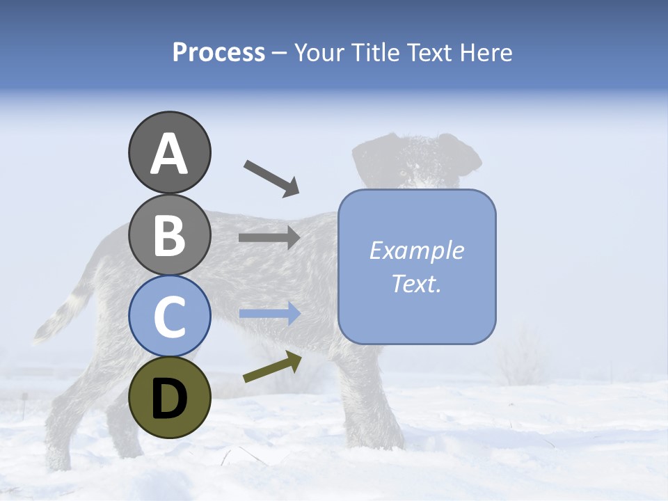 A Gray And Black Dog Standing In The Snow PowerPoint Template