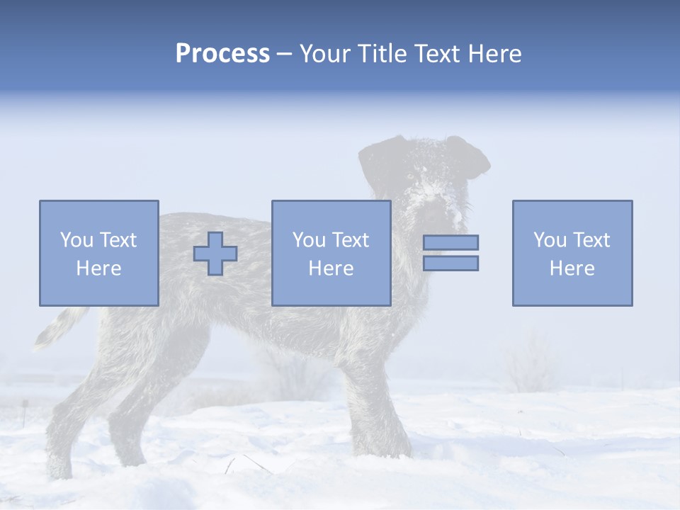 A Gray And Black Dog Standing In The Snow PowerPoint Template