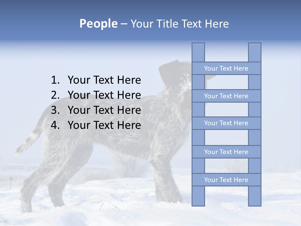 A Gray And Black Dog Standing In The Snow PowerPoint Template