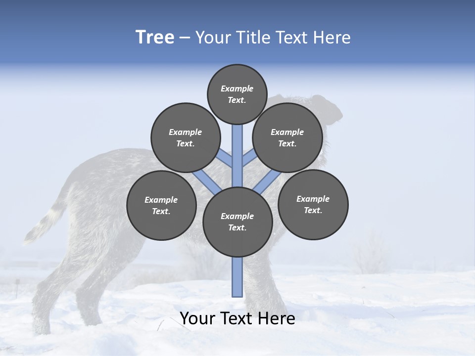 A Gray And Black Dog Standing In The Snow PowerPoint Template