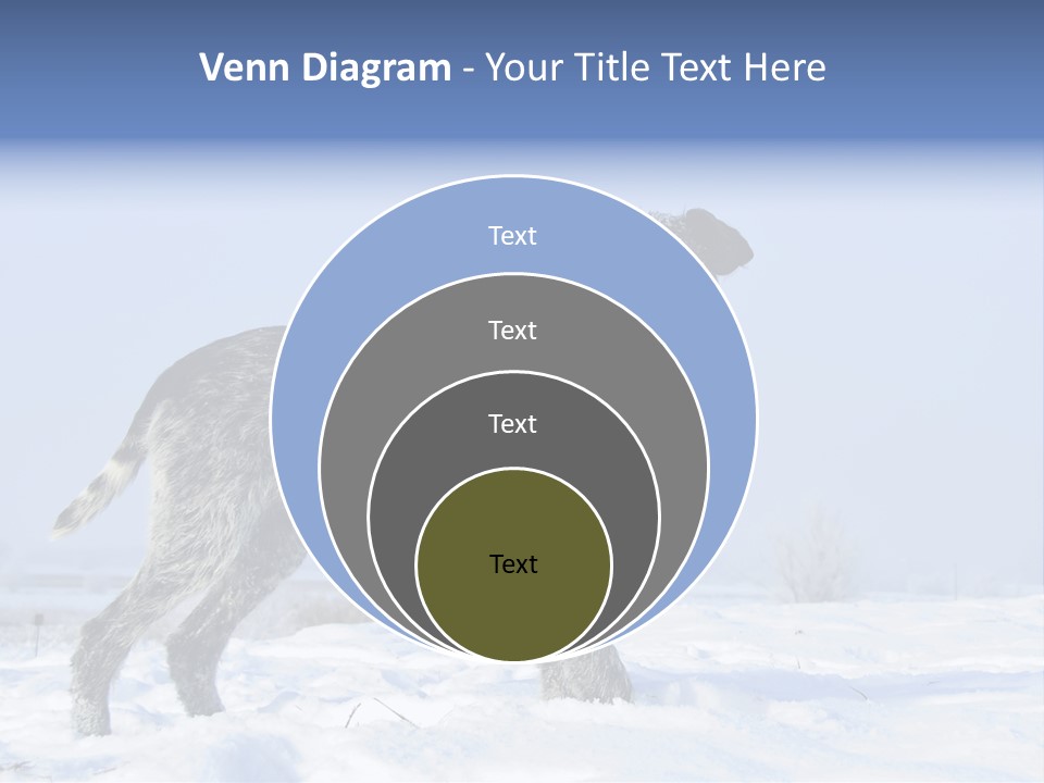 A Gray And Black Dog Standing In The Snow PowerPoint Template