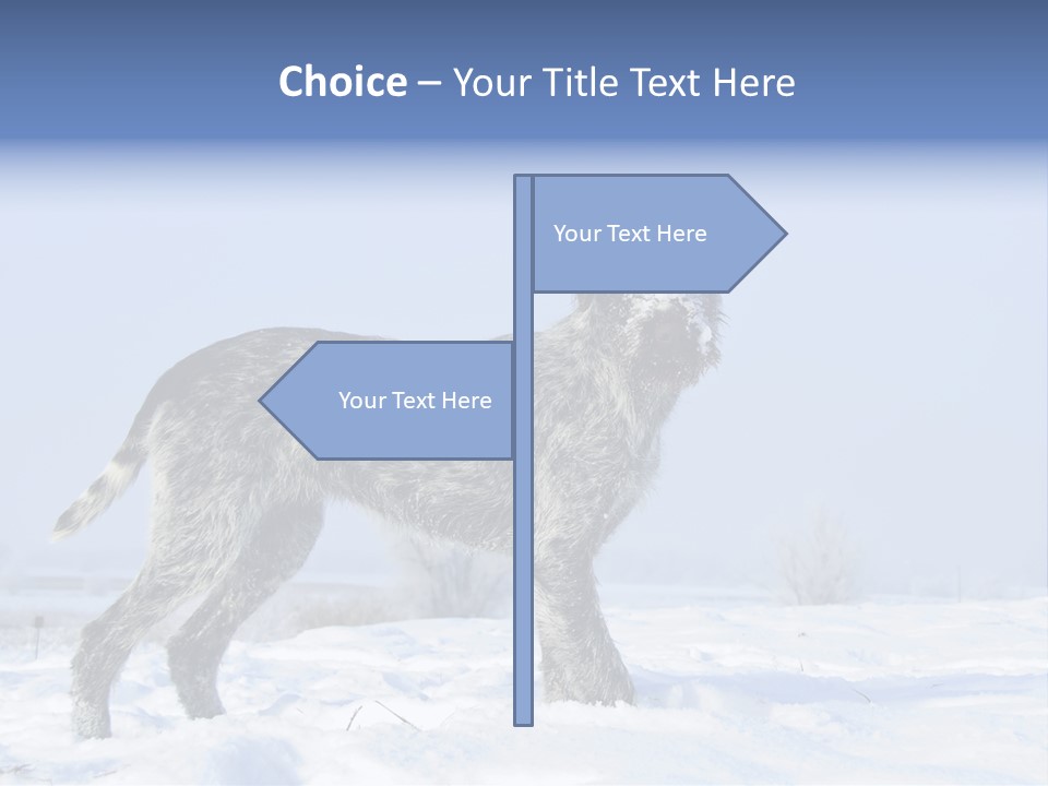 A Gray And Black Dog Standing In The Snow PowerPoint Template