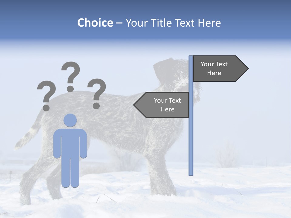 A Gray And Black Dog Standing In The Snow PowerPoint Template
