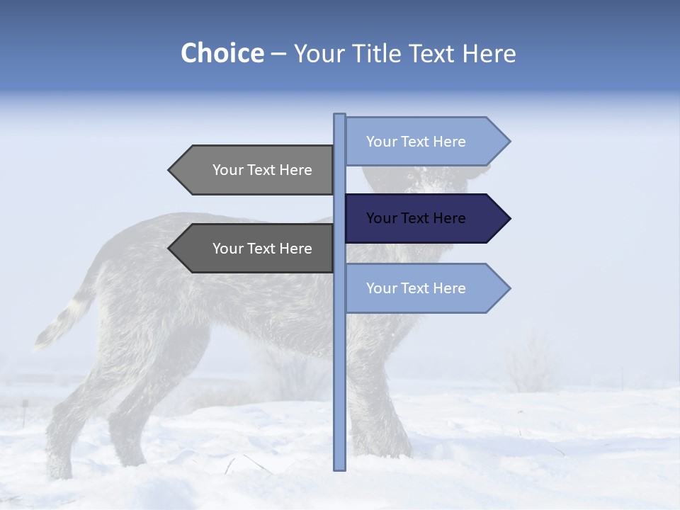 A Gray And Black Dog Standing In The Snow PowerPoint Template