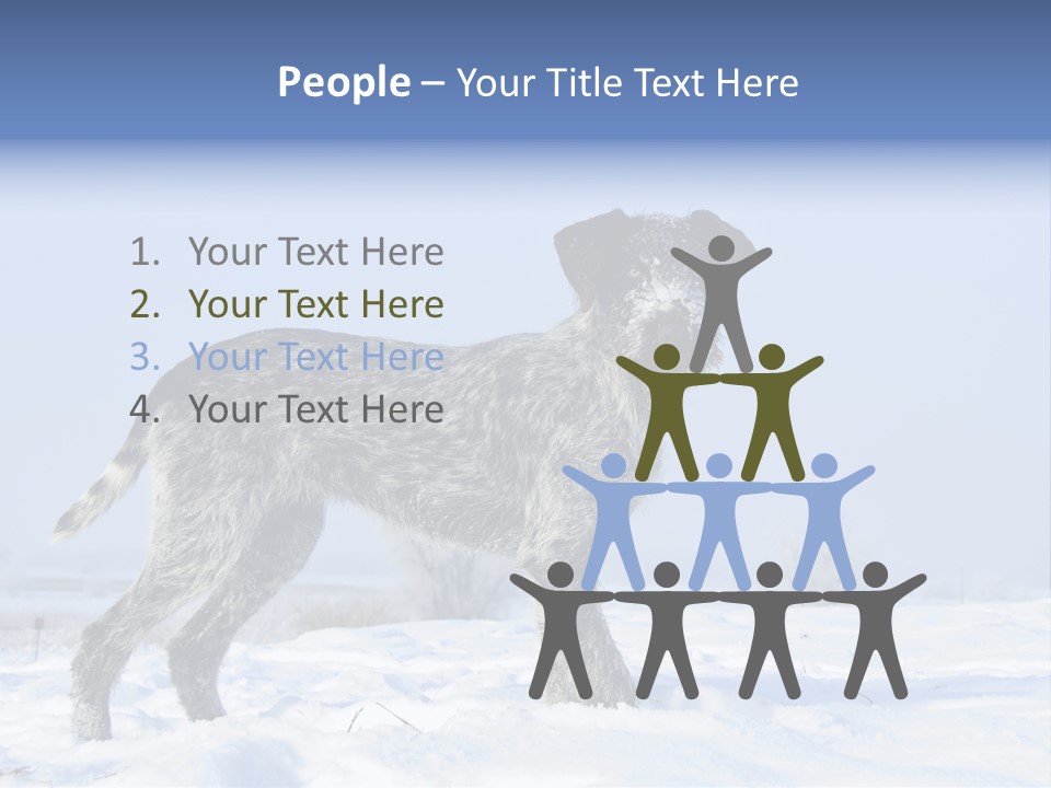 A Gray And Black Dog Standing In The Snow PowerPoint Template