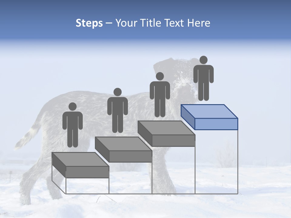 A Gray And Black Dog Standing In The Snow PowerPoint Template