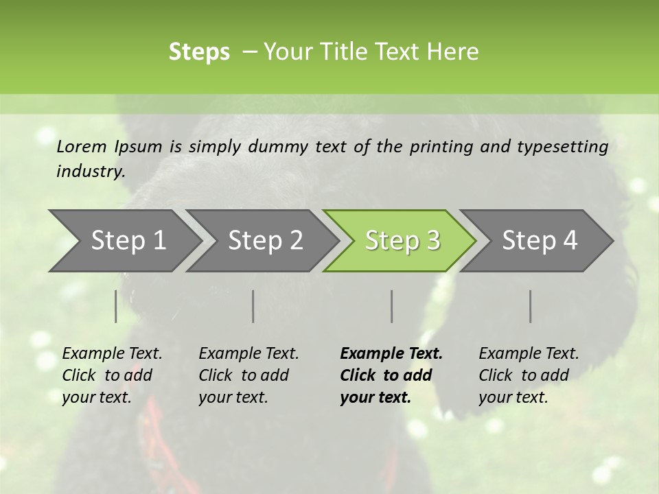 A Black Poodle With A Red Collar Is Looking At The Camera PowerPoint Template