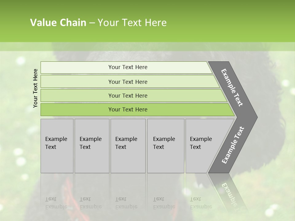 A Black Poodle With A Red Collar Is Looking At The Camera PowerPoint Template