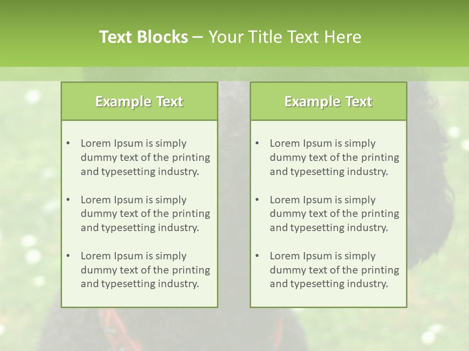 A Black Poodle With A Red Collar Is Looking At The Camera PowerPoint Template