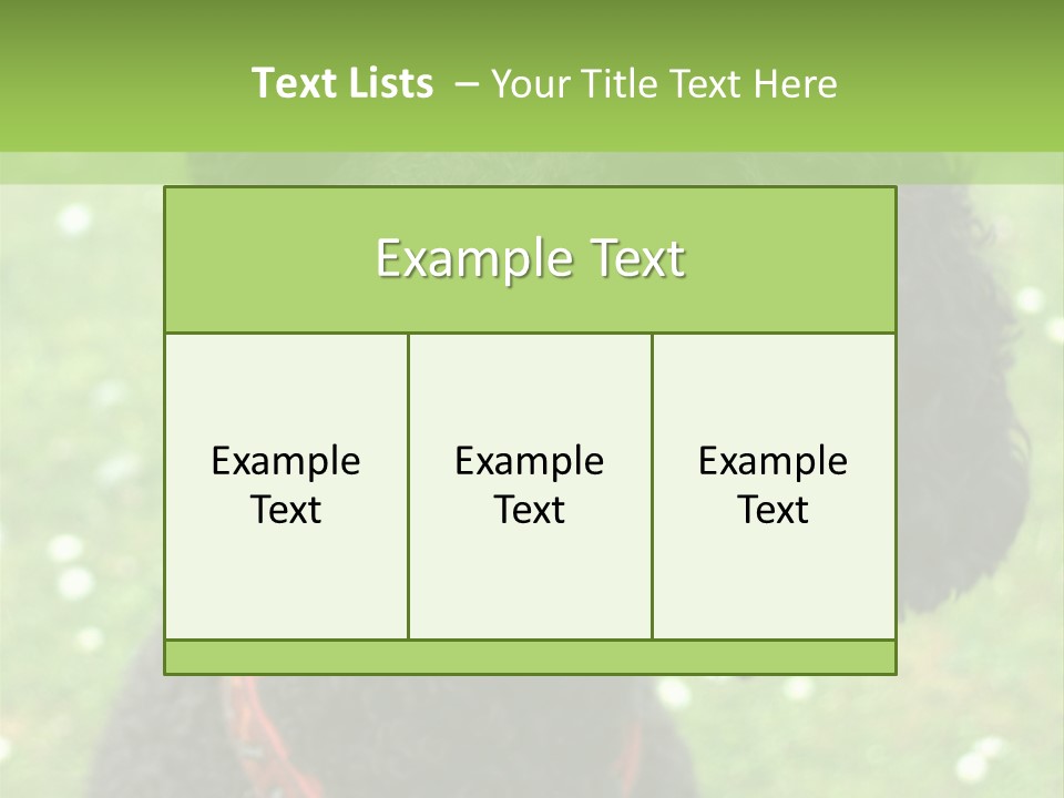 A Black Poodle With A Red Collar Is Looking At The Camera PowerPoint Template