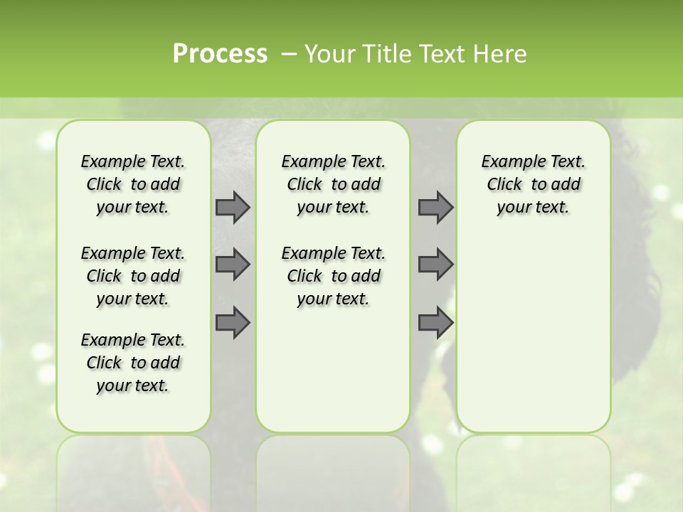 A Black Poodle With A Red Collar Is Looking At The Camera PowerPoint Template