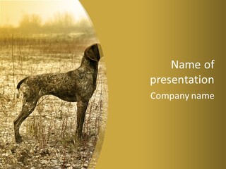 A Dog Standing In A Field With A Golden Background PowerPoint Template