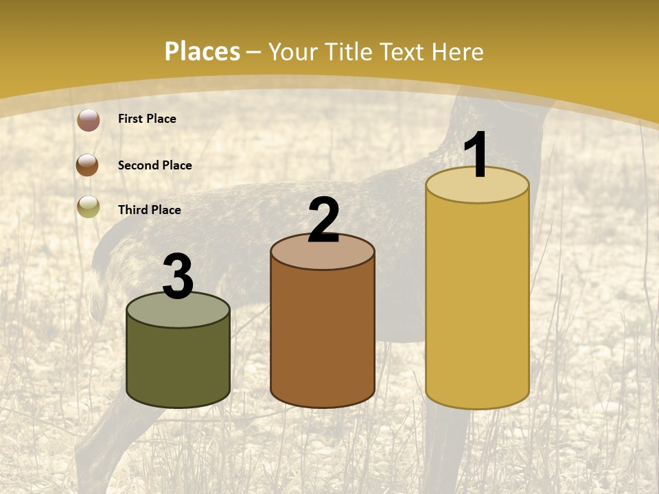 A Dog Standing In A Field With A Golden Background PowerPoint Template