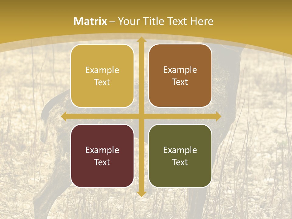 A Dog Standing In A Field With A Golden Background PowerPoint Template