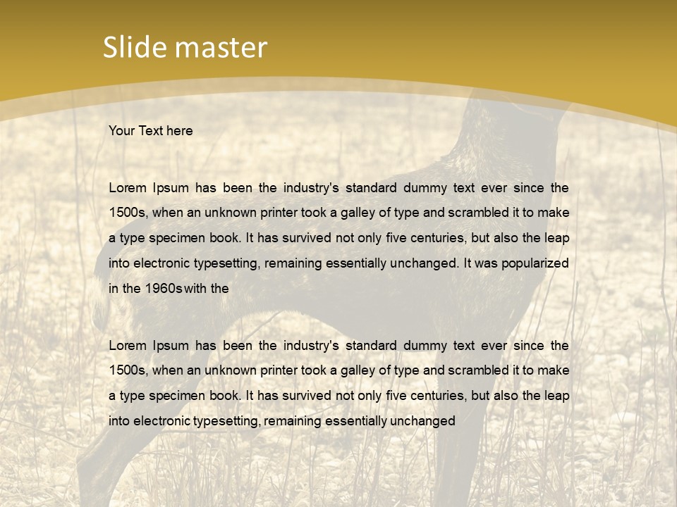 A Dog Standing In A Field With A Golden Background PowerPoint Template