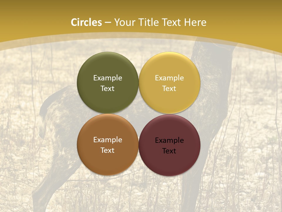 A Dog Standing In A Field With A Golden Background PowerPoint Template