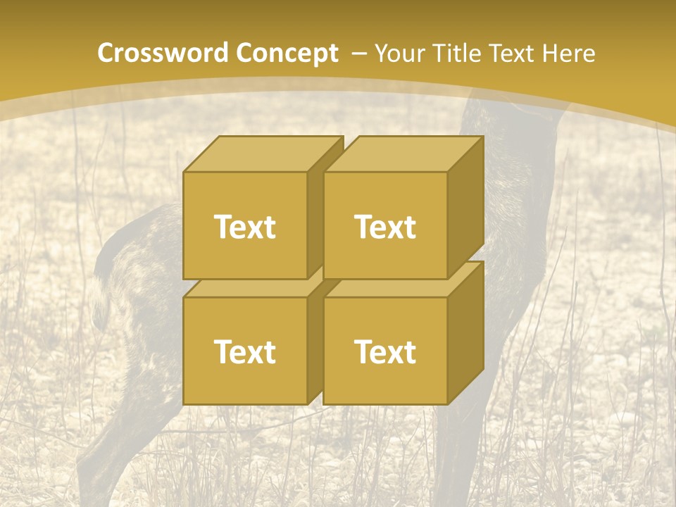 A Dog Standing In A Field With A Golden Background PowerPoint Template