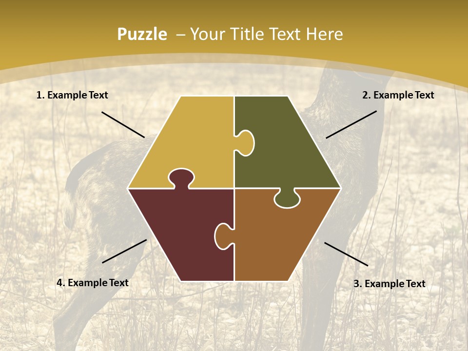 A Dog Standing In A Field With A Golden Background PowerPoint Template