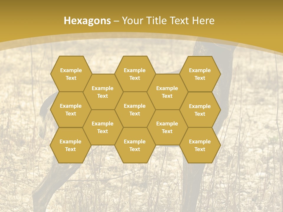 A Dog Standing In A Field With A Golden Background PowerPoint Template