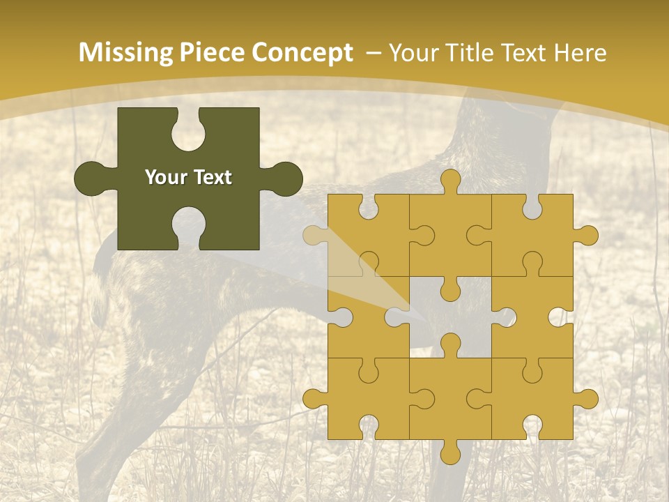A Dog Standing In A Field With A Golden Background PowerPoint Template
