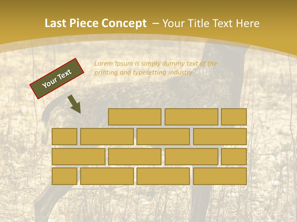 A Dog Standing In A Field With A Golden Background PowerPoint Template