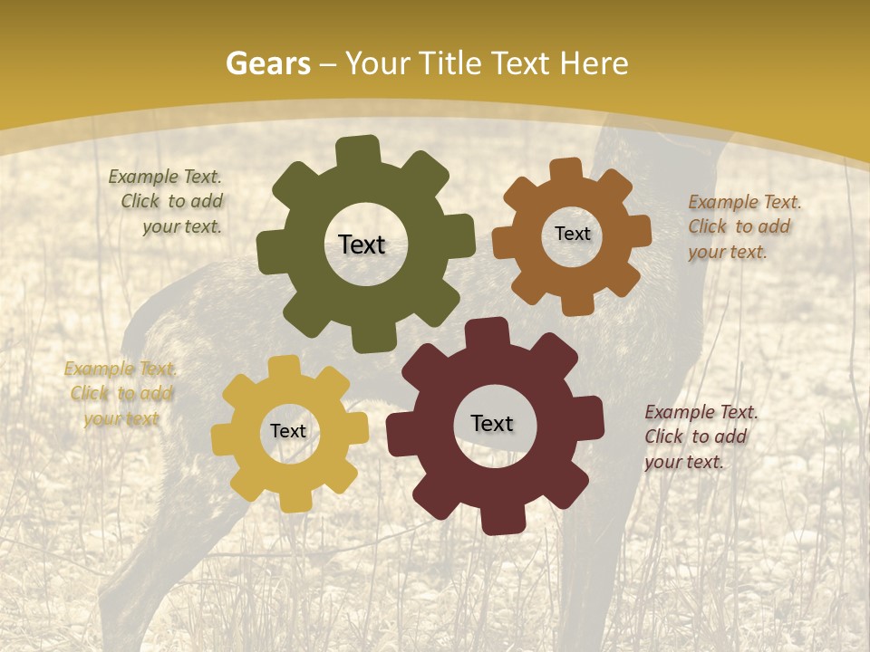 A Dog Standing In A Field With A Golden Background PowerPoint Template