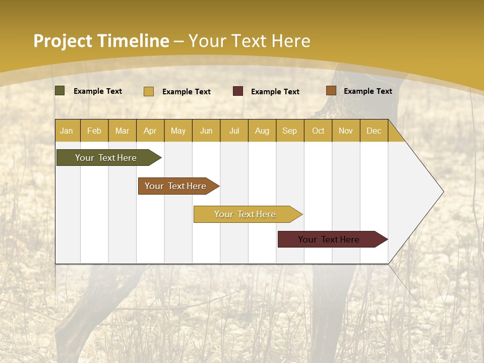 A Dog Standing In A Field With A Golden Background PowerPoint Template