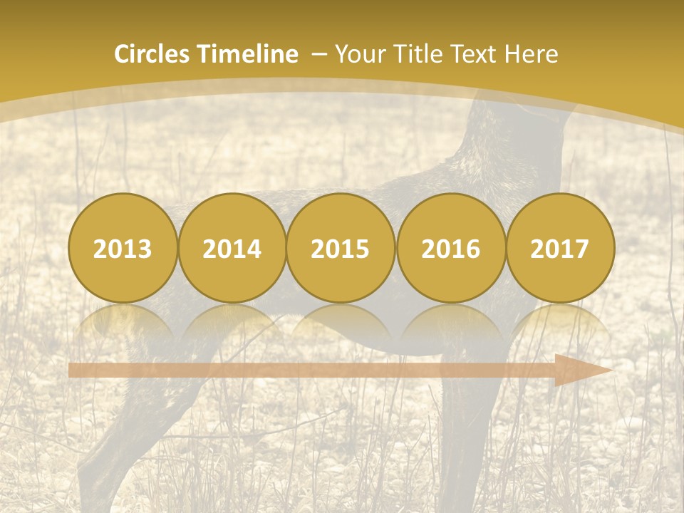 A Dog Standing In A Field With A Golden Background PowerPoint Template