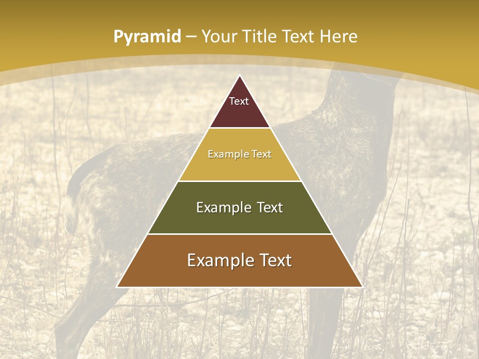 A Dog Standing In A Field With A Golden Background PowerPoint Template