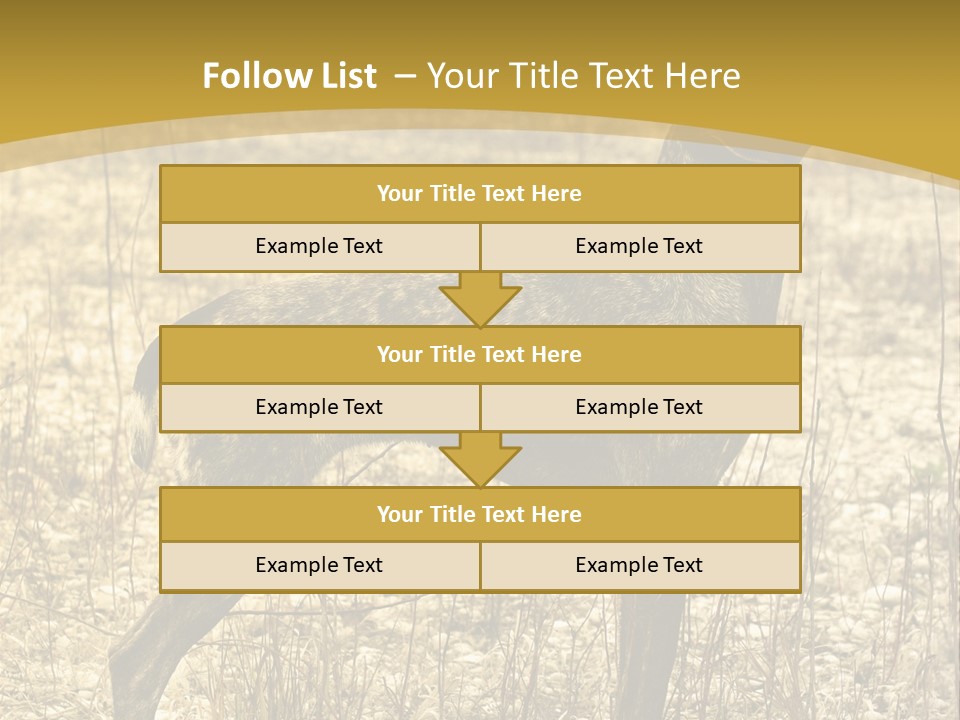 A Dog Standing In A Field With A Golden Background PowerPoint Template