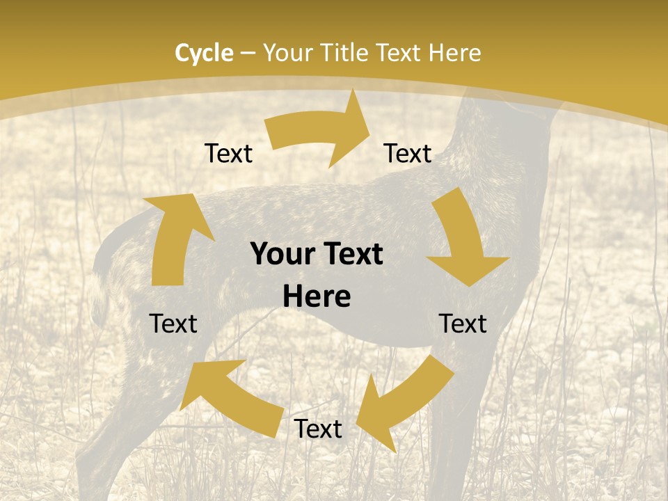 A Dog Standing In A Field With A Golden Background PowerPoint Template