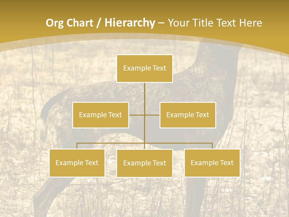 A Dog Standing In A Field With A Golden Background PowerPoint Template