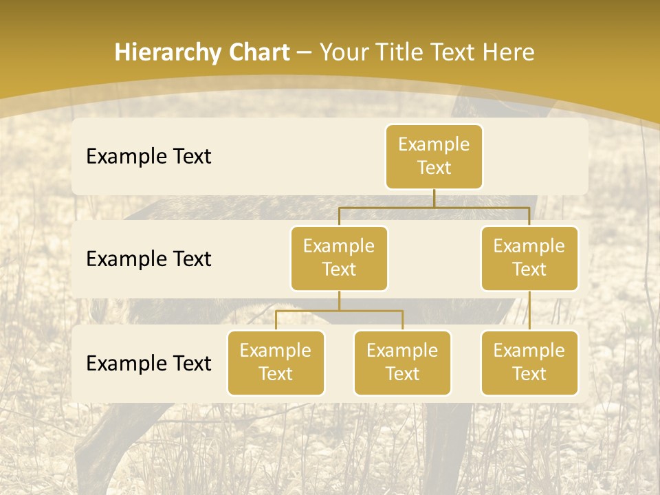 A Dog Standing In A Field With A Golden Background PowerPoint Template