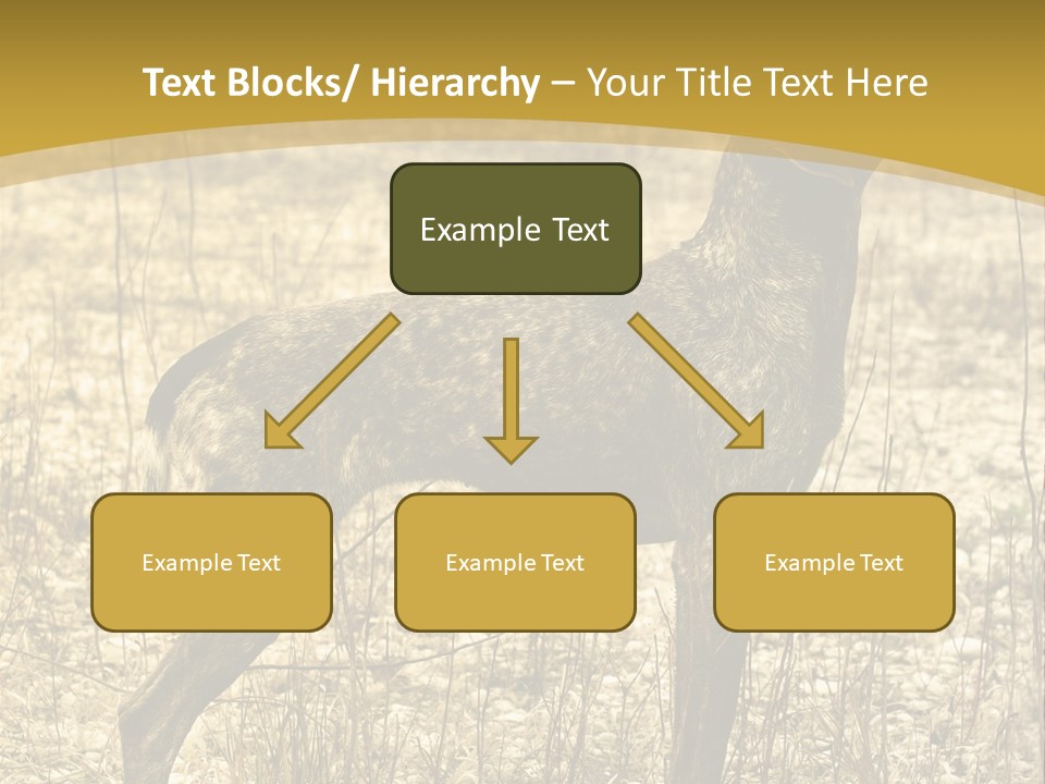 A Dog Standing In A Field With A Golden Background PowerPoint Template