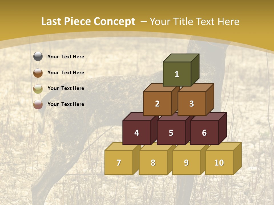 A Dog Standing In A Field With A Golden Background PowerPoint Template