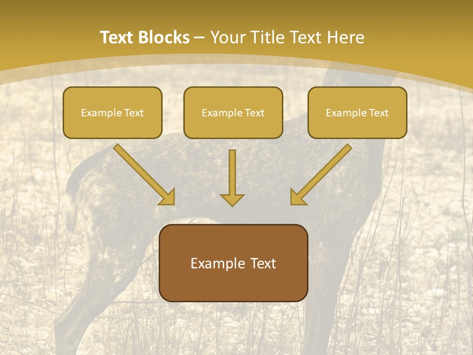 A Dog Standing In A Field With A Golden Background PowerPoint Template