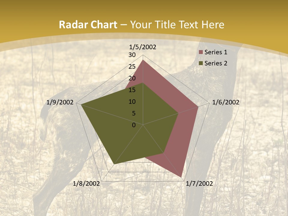 A Dog Standing In A Field With A Golden Background PowerPoint Template