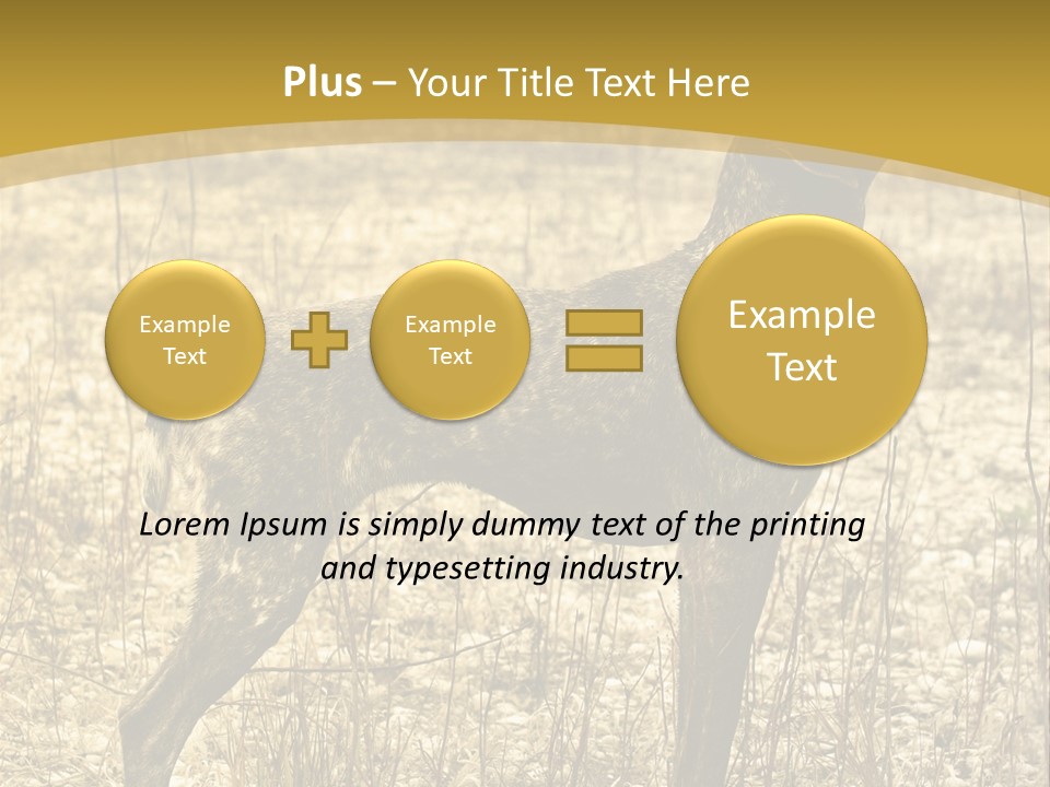 A Dog Standing In A Field With A Golden Background PowerPoint Template