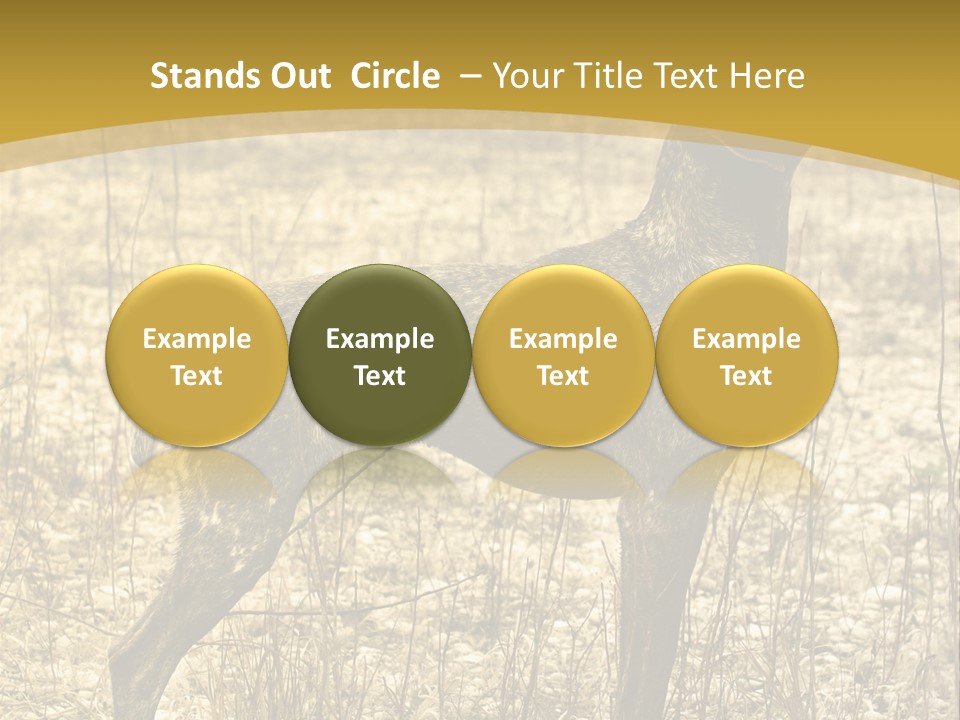 A Dog Standing In A Field With A Golden Background PowerPoint Template