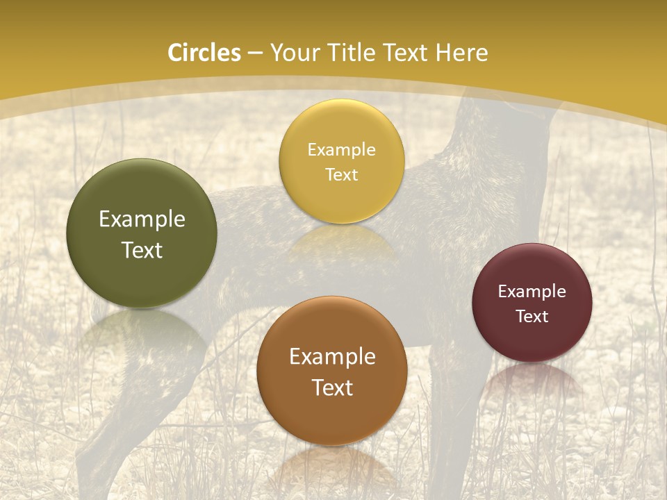 A Dog Standing In A Field With A Golden Background PowerPoint Template