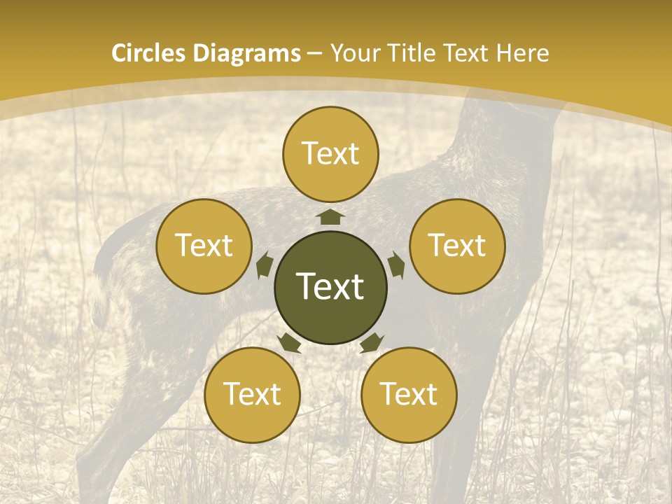 A Dog Standing In A Field With A Golden Background PowerPoint Template