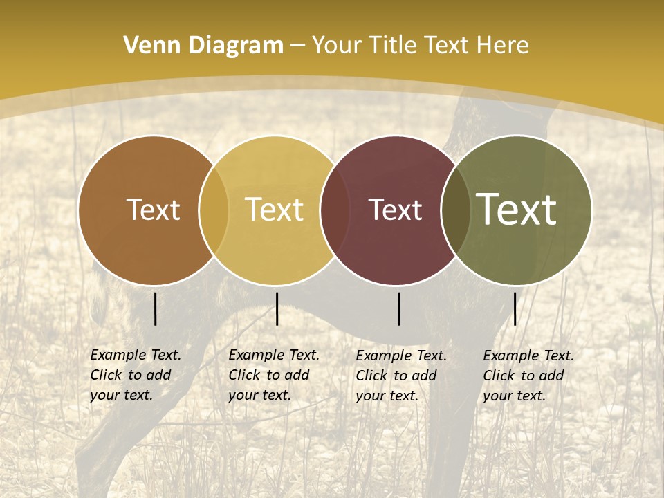 A Dog Standing In A Field With A Golden Background PowerPoint Template